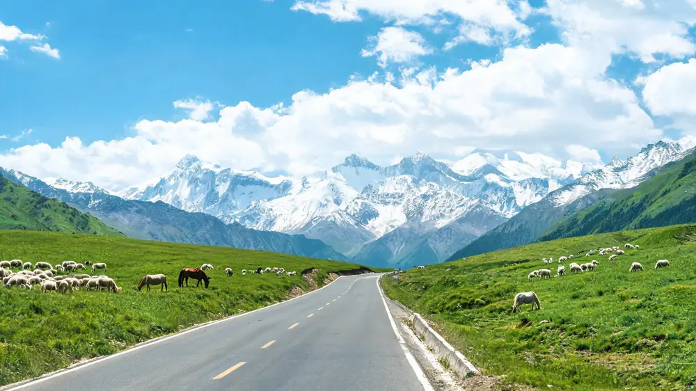 独库公路沿途的草原与雪山