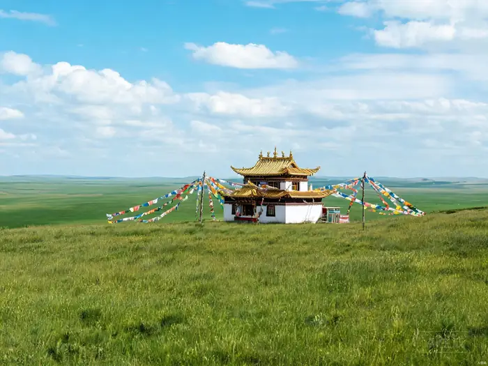 巴音布鲁克景区 - 作品3